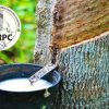 Association of Natural Rubber Producing Countries (ANRPC